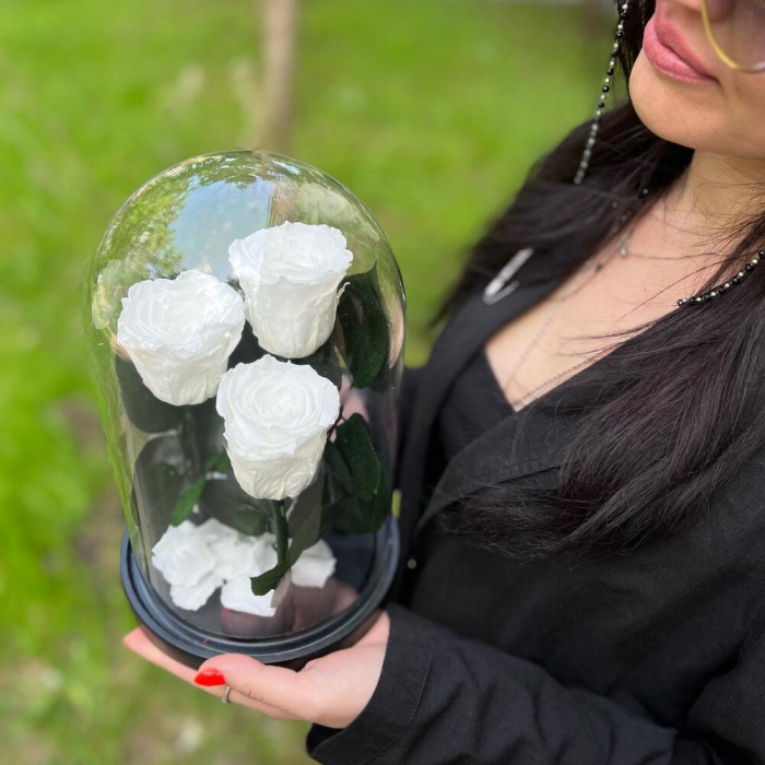 Trandafiri Criogenați Roz în Cupolă de Sticlă (3 tije) [6]