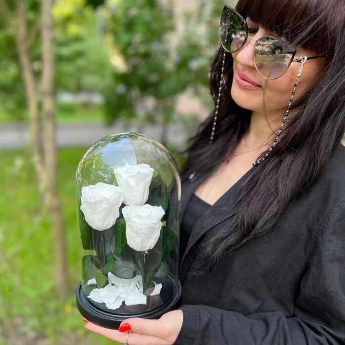 Trandafiri Criogenați Roz în Cupolă de Sticlă (3 tije) [5]