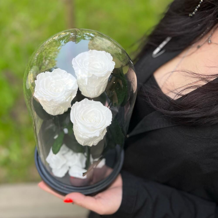 Trandafiri Criogenați Roz în Cupolă de Sticlă (3 tije) [3]