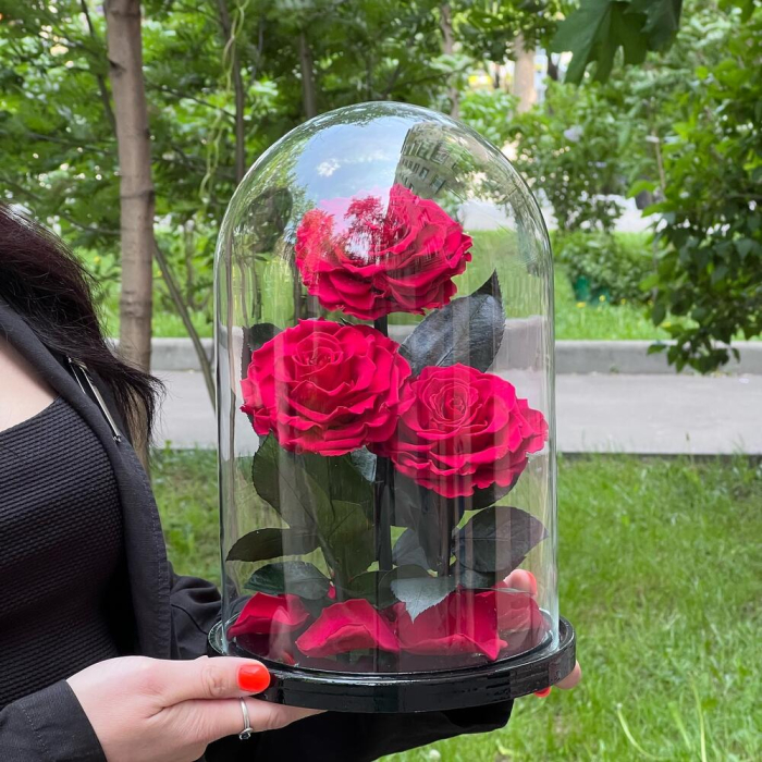 Trandafiri Criogenați Roșii în Cupolă de Sticlă (3 tije) [4]