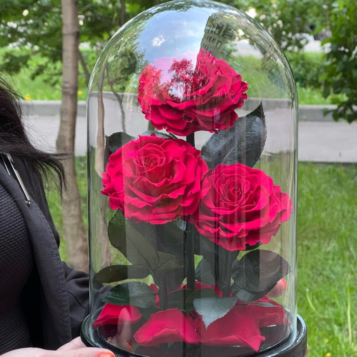 Trandafiri Criogenați Roșii în Cupolă de Sticlă (3 tije) [5]