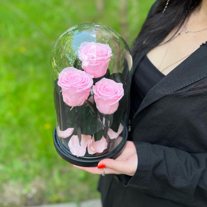 Trandafiri Criogenați Roz în Cupolă de Sticlă (3 tije) [4]