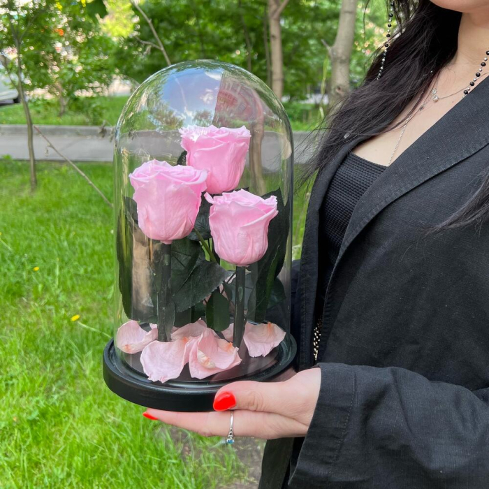 Trandafiri Criogenați Roz în Cupolă de Sticlă (3 tije) [2]