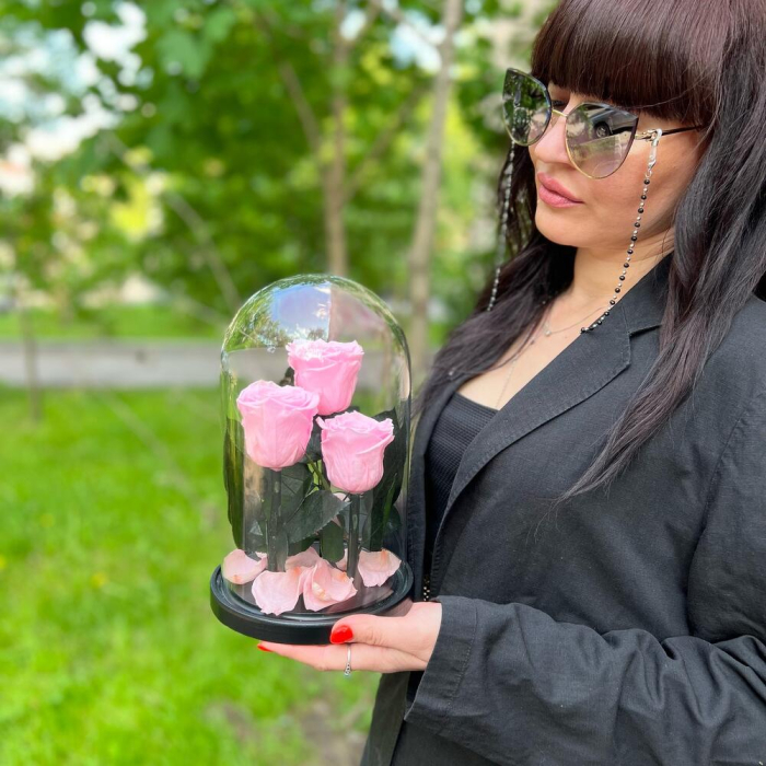 Trandafiri Criogenați Roz în Cupolă de Sticlă (3 tije) [3]