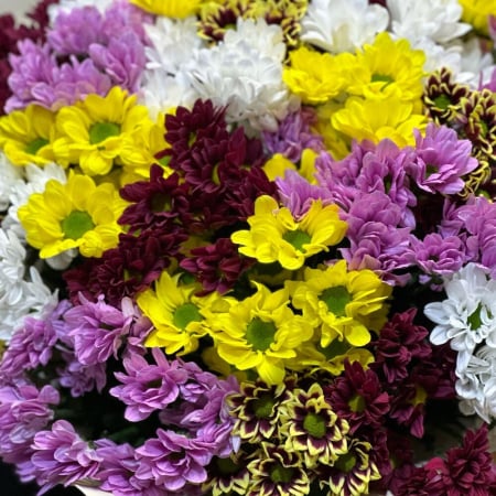 Buchet Amestec din 25 Crizanteme Multicolore [5]