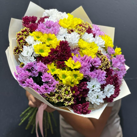 Buchet Amestec din 25 Crizanteme Multicolore [2]