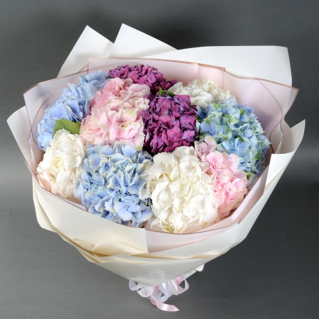Buchete - Buchet de 11 mix de hortensii