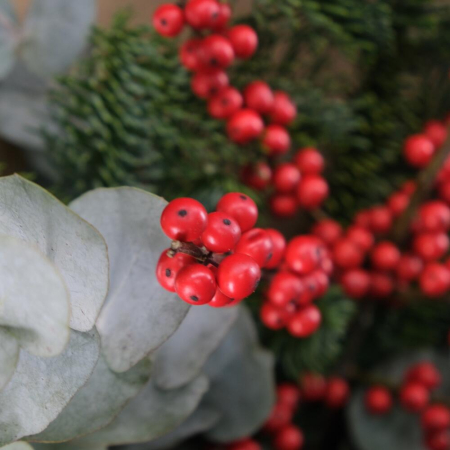 Buchet de Iarnă cu Eucalipt [5]