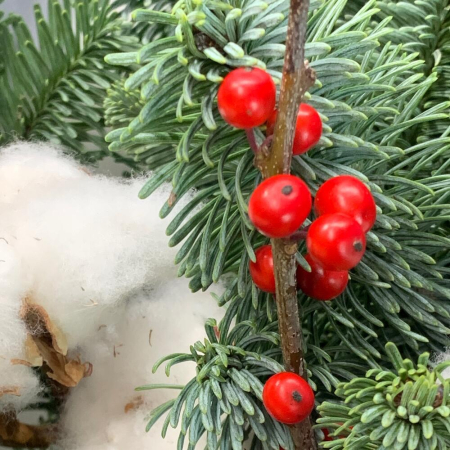 Buchet de Iarnă Eucalipt și Bumbac [4]