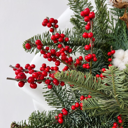 Buchet de Iarnă pentru Crăciun [5]