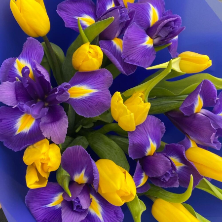 Buchet de Primăvară din Iriși și Lalele [2]