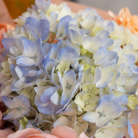 Buchet de Toamnă cu Hortensie, Trandafiri și Frunze de Stejar [4]