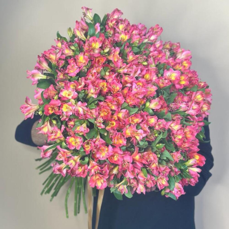 Buchete - Buchet din 101 Alstroemeria