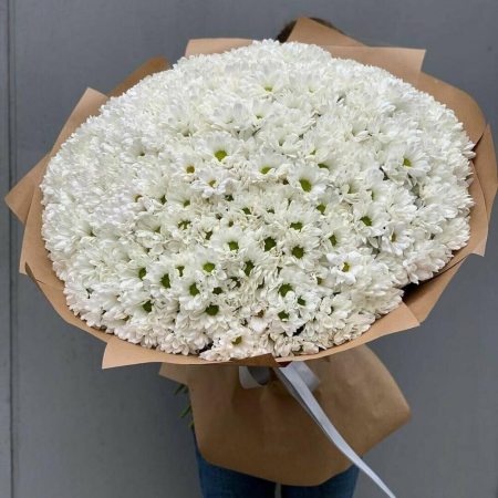 Buchet din 101 Crizanteme Albe [2]