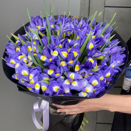 Buchete - Buchet din 101 Iriși Mov