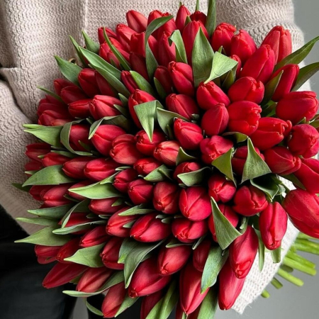 Buchet din 101 Lalele roșii [1]