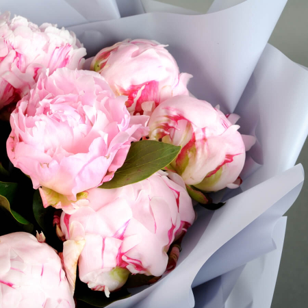 Buchet din 11 Bujori Roz [3]