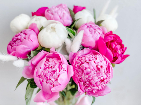 Buchet din 15 Bujori Roz-Alb-Fuchsia [1]