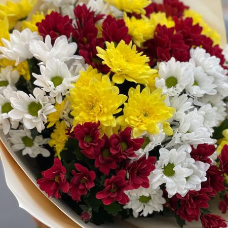 Buchet din 15 Crizanteme Albe, Roșii și Galbene [5]