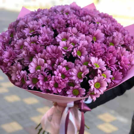 Buchet din 15 Crizanteme Roz [1]