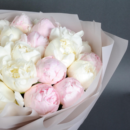 Buchet din 25 Bujori Alb-Roz [3]