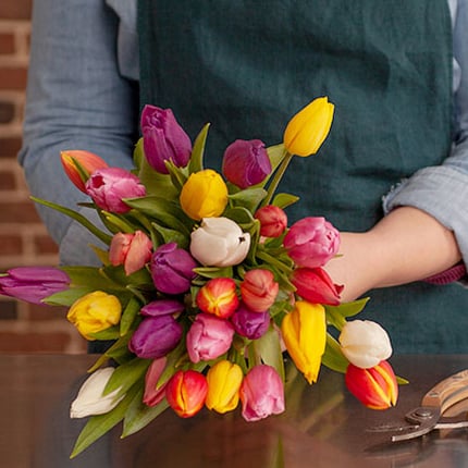 Buchete - Buchet din 25 de lalele multicolore