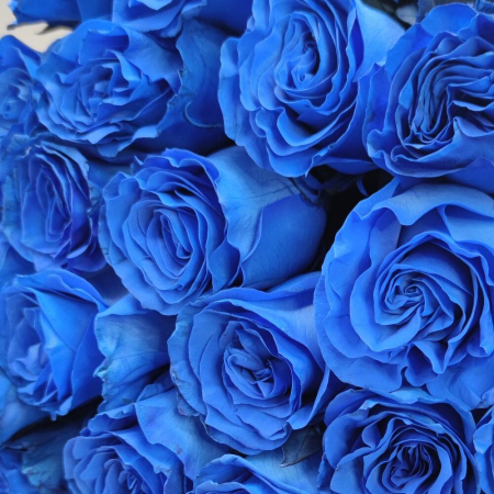 Buchet din 25 Trandafiri Albaștri [5]