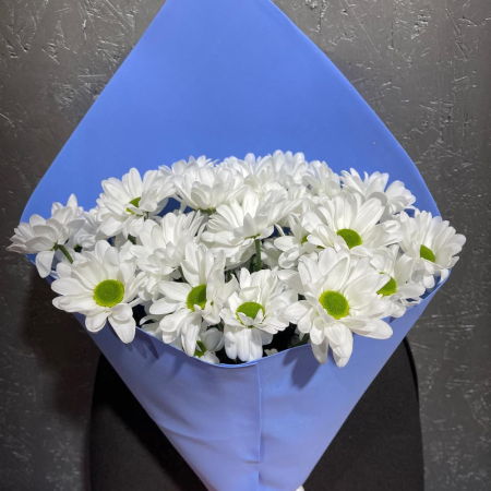 Buchet din 5 Crizanteme Albe [3]