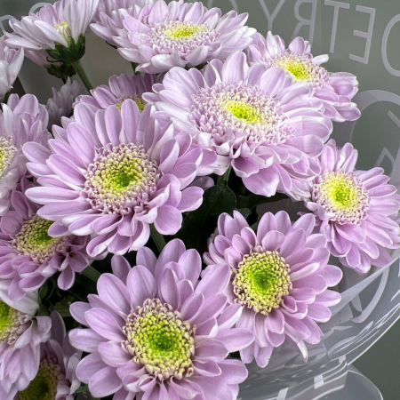 Buchet din 5 Crizanteme Lila [3]