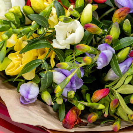 Buchet din 51 Frezii Multicolore [2]