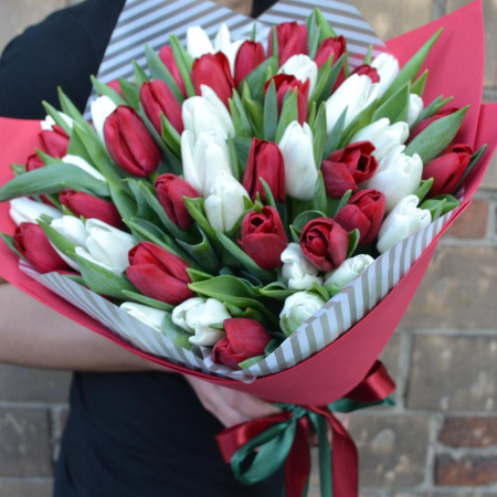 Buchet din 51 Lalele Alb-Roșii [2]