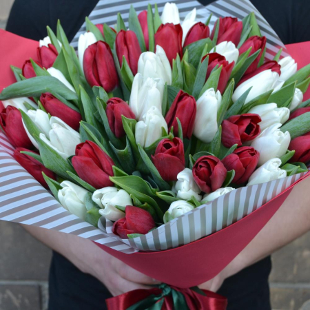 Buchet din 51 Lalele Alb-Roșii [3]