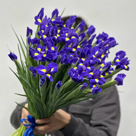 Buchet din 59 Iriși Mov [1]