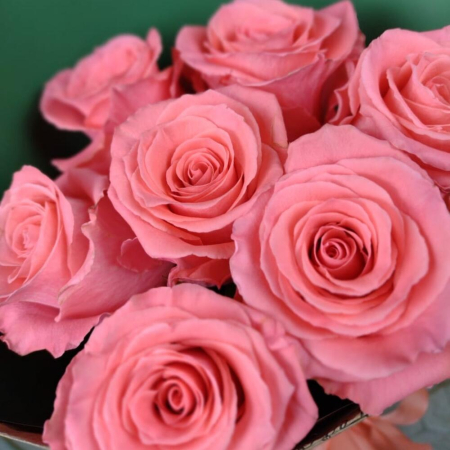 Buchet din 7 Trandafiri Roz [2]