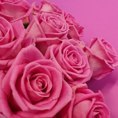 Buchet din 9 Trandafiri Roz [5]