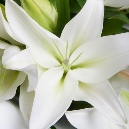 Buchet din Crini Imperiali [2]