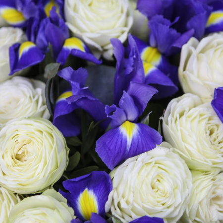 Buchet din Iriși și Trandafiri Albi cu Eucalipt [3]