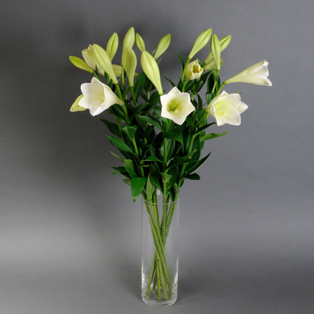 Buchete - Crin într-o vază