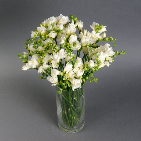 Buchete - Frezie într-o vază