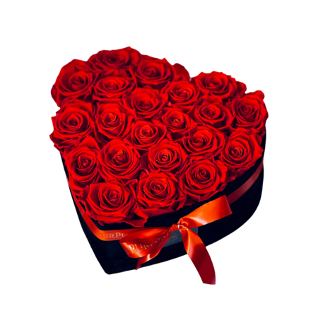 Criogenați - Inimă cu 21 Trandafiri Criogenați Roșii