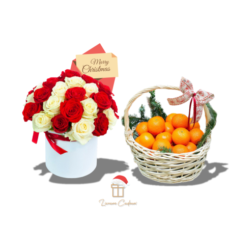 Surpriză la Domiciliu de Crăciun [1]