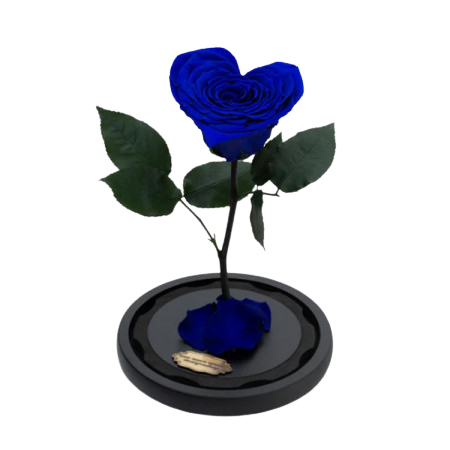 Criogenați - Trandafir Criogenat Albastru în Formă de Inimă