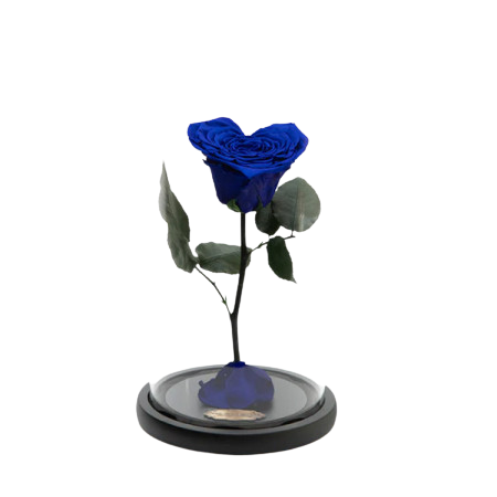 Trandafir Criogenat Albastru în Formă de Inimă [1]