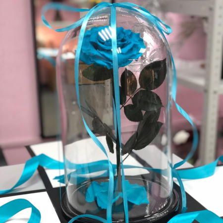 Trandafir Criogenat Bleu în Cupolă de Sticlă [1]