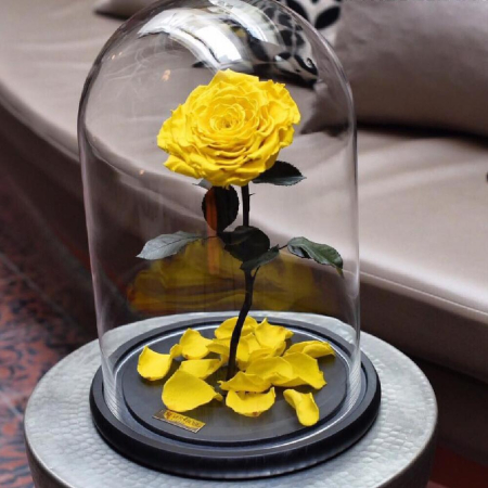 Criogenați - Trandafir Criogenat Galben în Cupolă de Sticlă