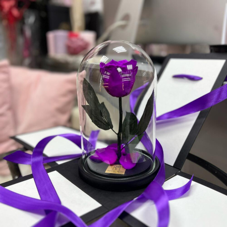 Criogenați - Trandafir Criogenat Mov în Cupolă de Sticlă