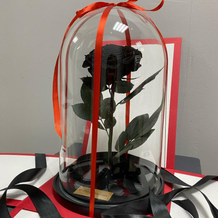 Trandafir Criogenat Negru în Cupolă de Sticlă [3]