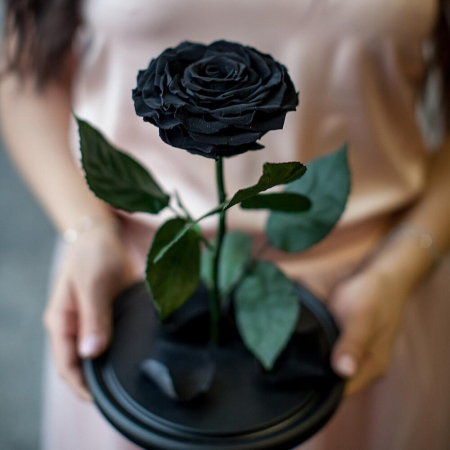 Criogenați - Trandafir Criogenat Negru în Cupolă de Sticlă