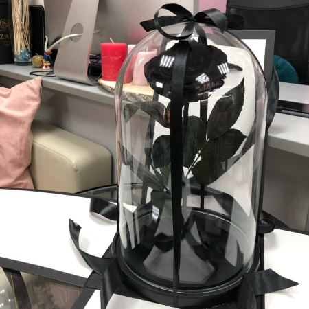 Trandafir Criogenat Negru în Cupolă de Sticlă [4]