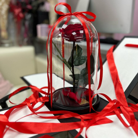 Trandafir Criogenat Roșu în Cupolă de Sticlă [1]